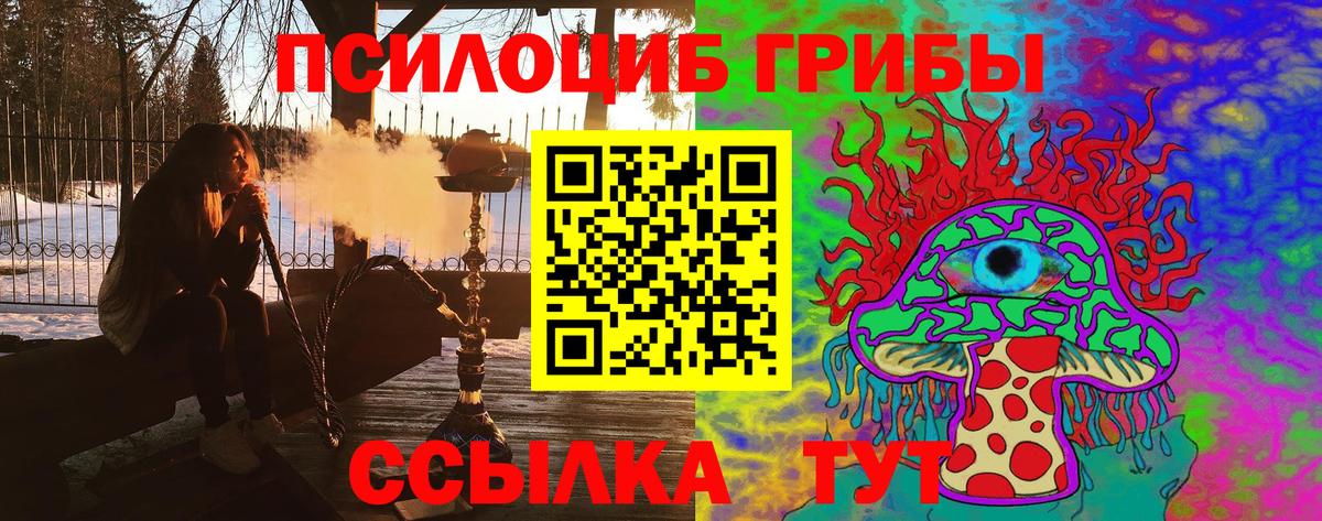 как найти наркотики  Вход с VPN  Ржев  Галлюциногенные грибы Cubensis 
